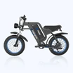 Tamobyke TB20 Electric Bike