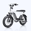 Tamobyke T63 Commuter Fat-Tire Electric Bike