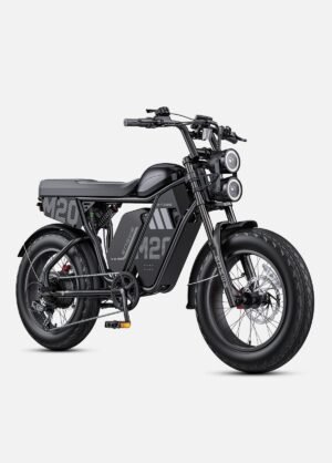 ENGWE M20 3.0 E-Bike Dual Batteries