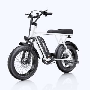 Tamobyke T63