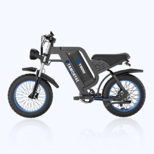 Tamobyke TB20