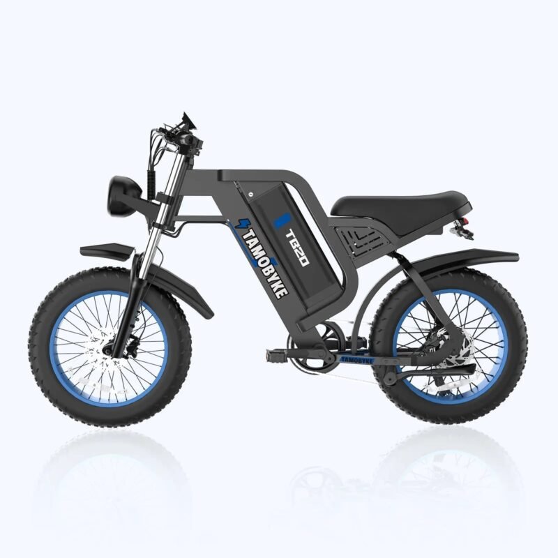 Tamobyke TB20