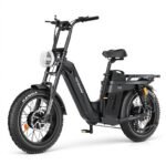 Tesway X5 AWD Step-Thru Electric Bike