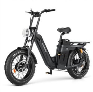 Tesway X5 AWD Step-Thru Electric Bike