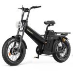 Tesway X7 AWD Dual Motor Electric Bike