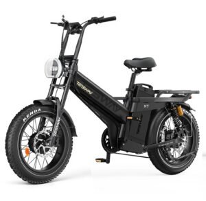 Tesway X7 AWD Dual Motor Electric Bike