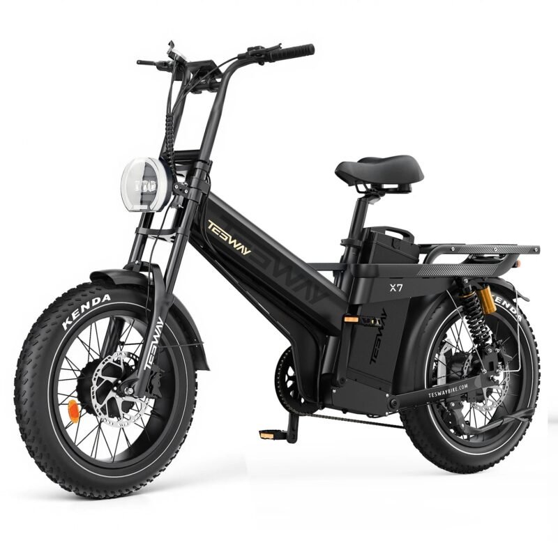 Tesway X7 AWD Dual Motor Electric Bike
