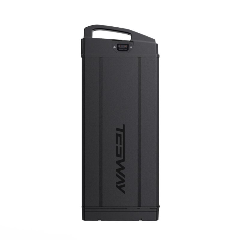 Tesway 48V/52V 60Ah Spare Battery for X5/X7 Tesway 48V/52V 60Ah Spare Battery for X5/X7