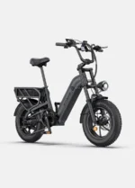 ENGWE L16 Dual Battery