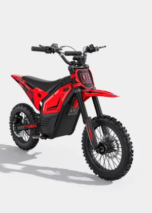 ENGWE Eagle Electric Dirt Bike